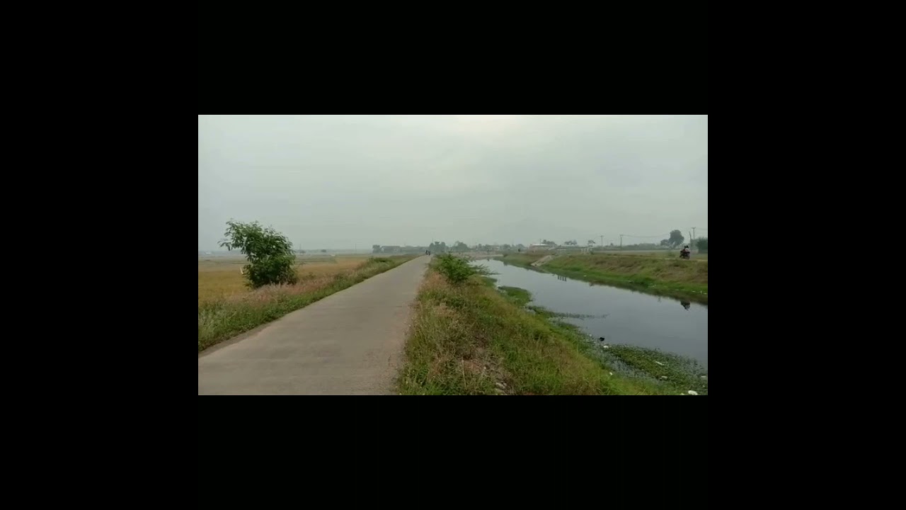 seting  mio j road race 130cc