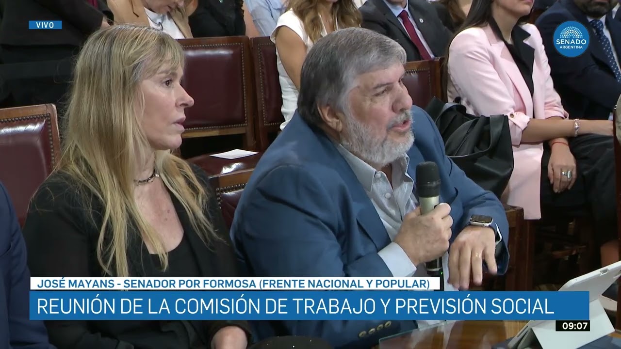 SENADOR JOS&Eacute; MAYANS 2 - COMISI&Oacute;N DE TRABAJO Y PREVISION SOCIAL 17-12-25