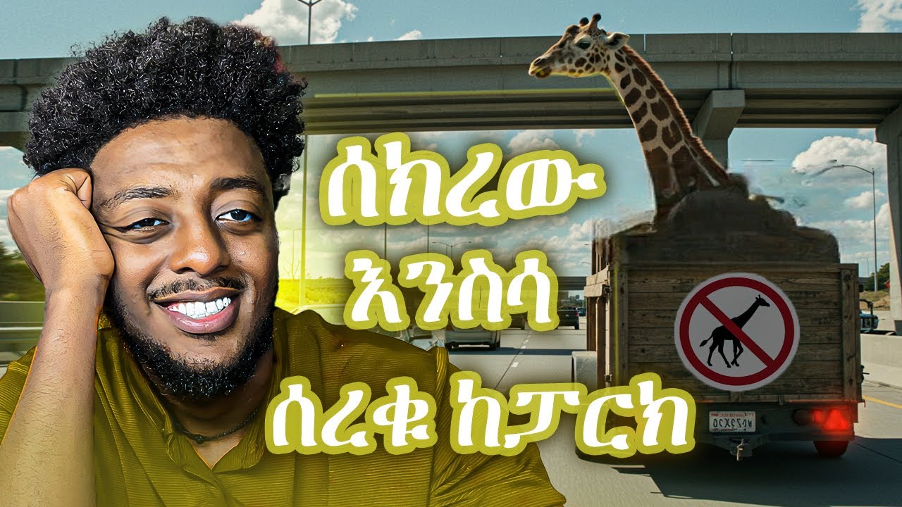 🔴The Hangover ፊልም በእውነተኛ ታሪክ ፈፀሙት  🤣🤣❗️  ድንቅ  እውነተኛ ታሪክ