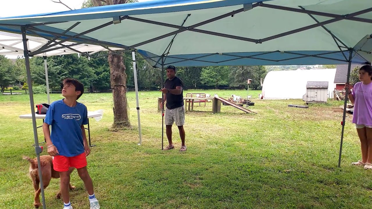 Coleman Oasis Instant Canopy Review | Easy Pop-Up Shade Tent with Sidewall
