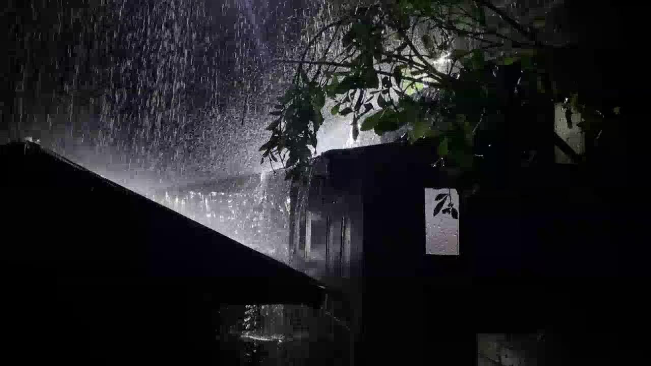 Deep Sleep Rain Sounds – Heavy Rain on Tin Roof at Night