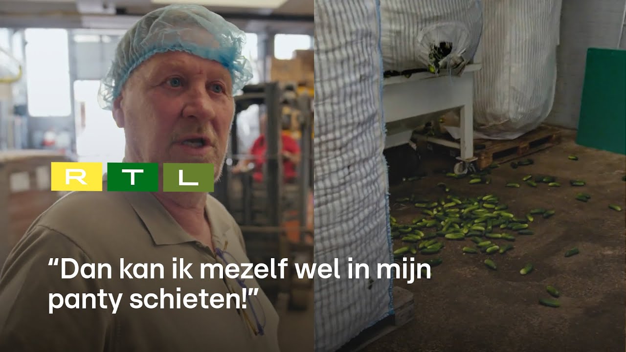 Oos Kesbeke pislink: zak van 1000 kilo augurken scheurt | De Augurkenkoning