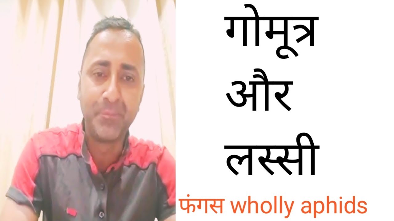 Gomutr and Lassi Spray Apple orchord ||Gomutr and Lassi Dosage