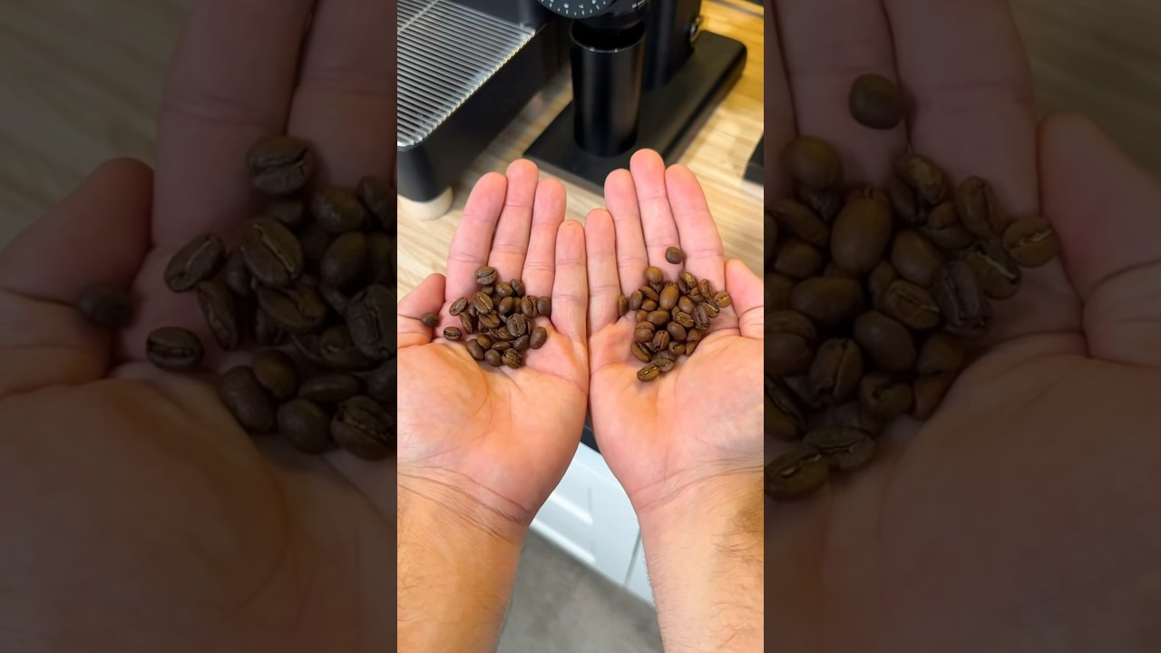 How to fix bitter coffee #coffee
