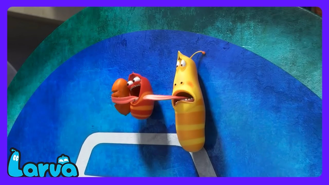 Larva - Tyfoon Achtervolging! | Kindertelevisie | WildBrain Dierentuin