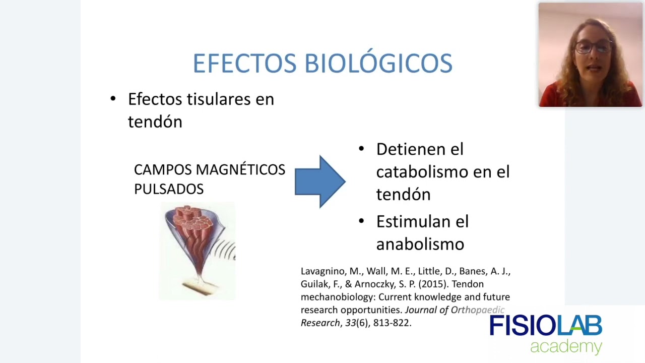 #Webinar- Una mirada al futuro. Magnetoterapia de alta intensidad en Rehabilitación y Terapia Física