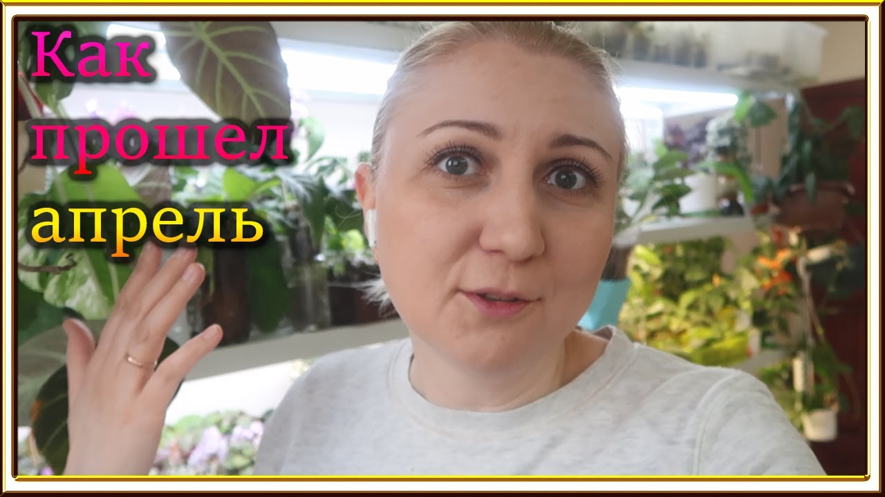 ВЛОГ: Неудачный поход к стоматологу
