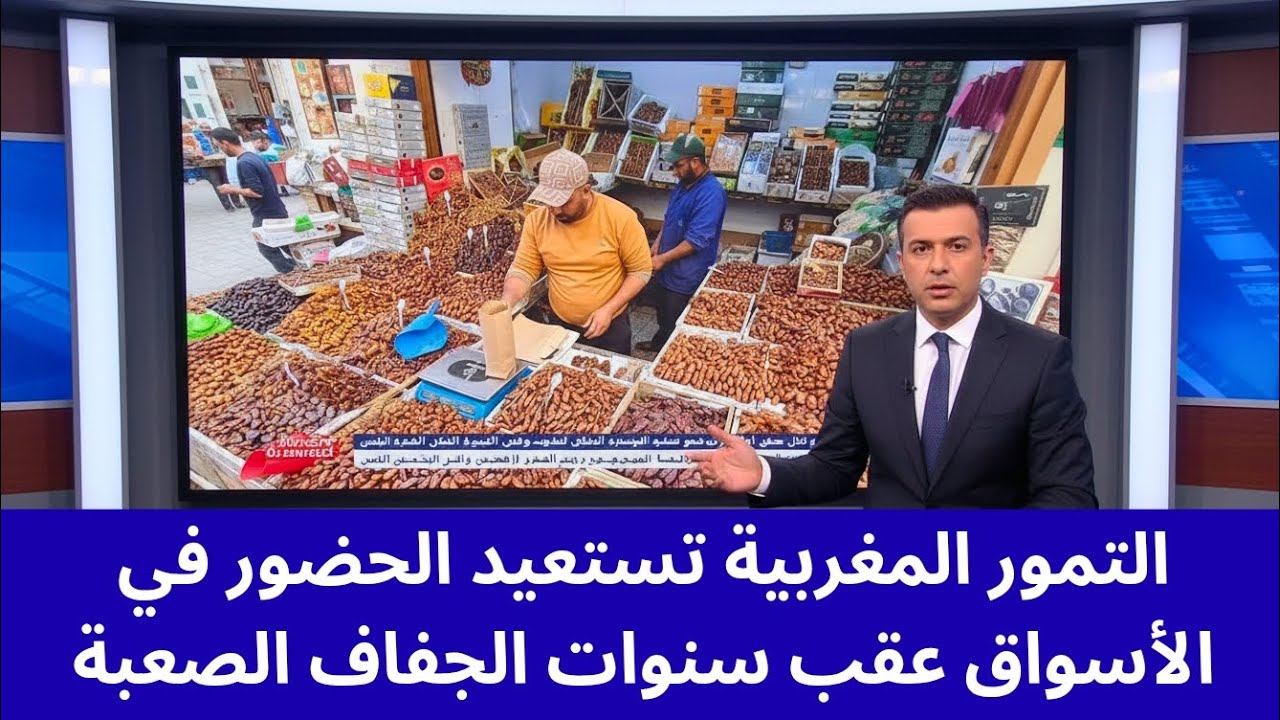 التمور المغربية تستعيد الحضور في الأسواق عقب سنوات الجفاف الصعبة