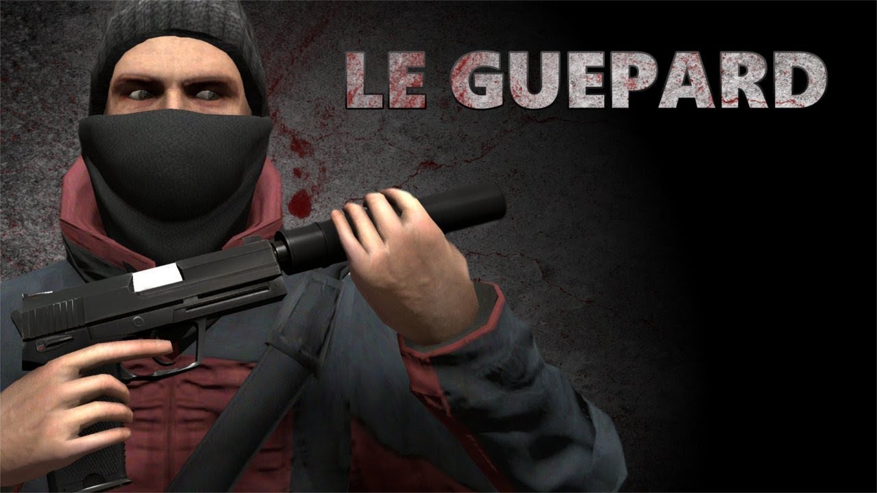 LE GUEPARD 