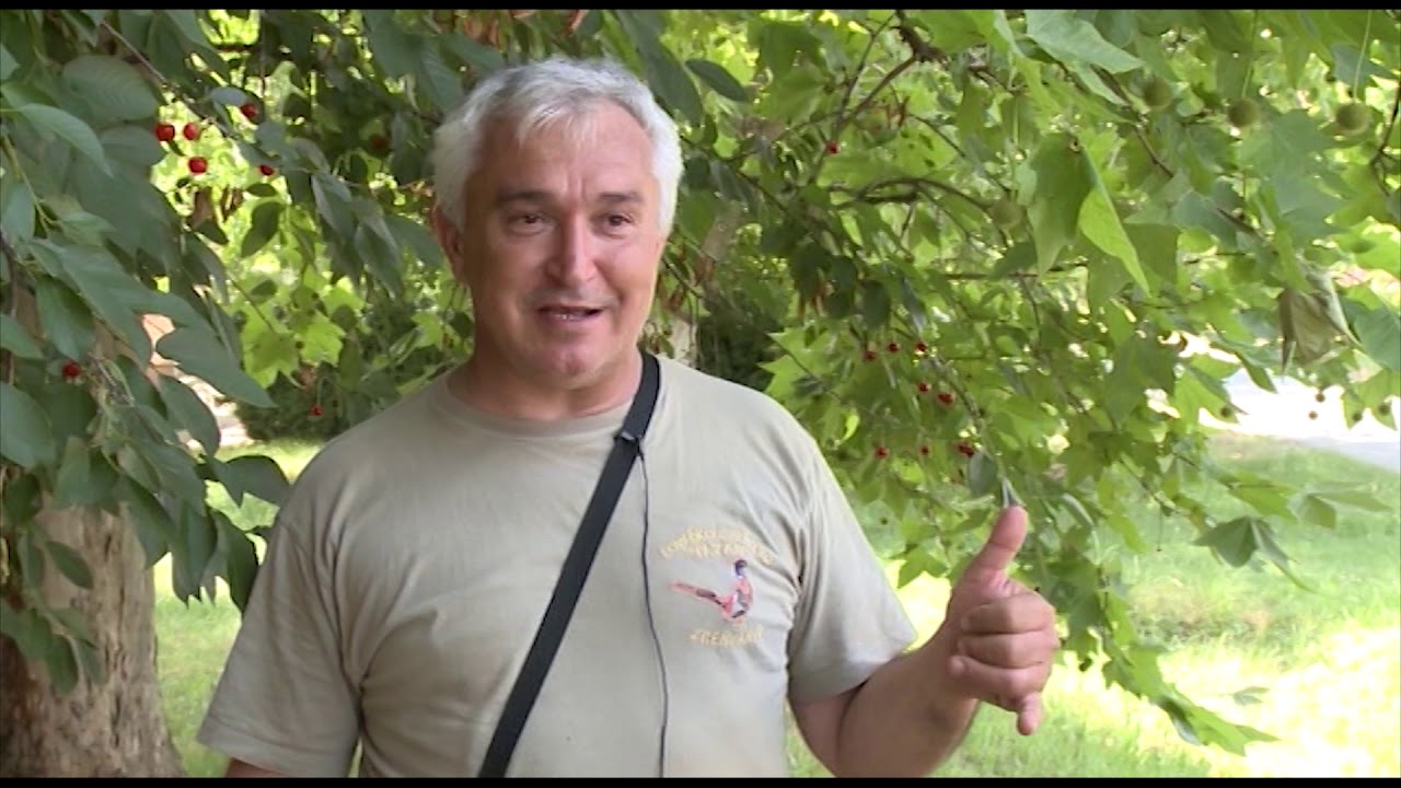 Teletakt - Lovački saveti
