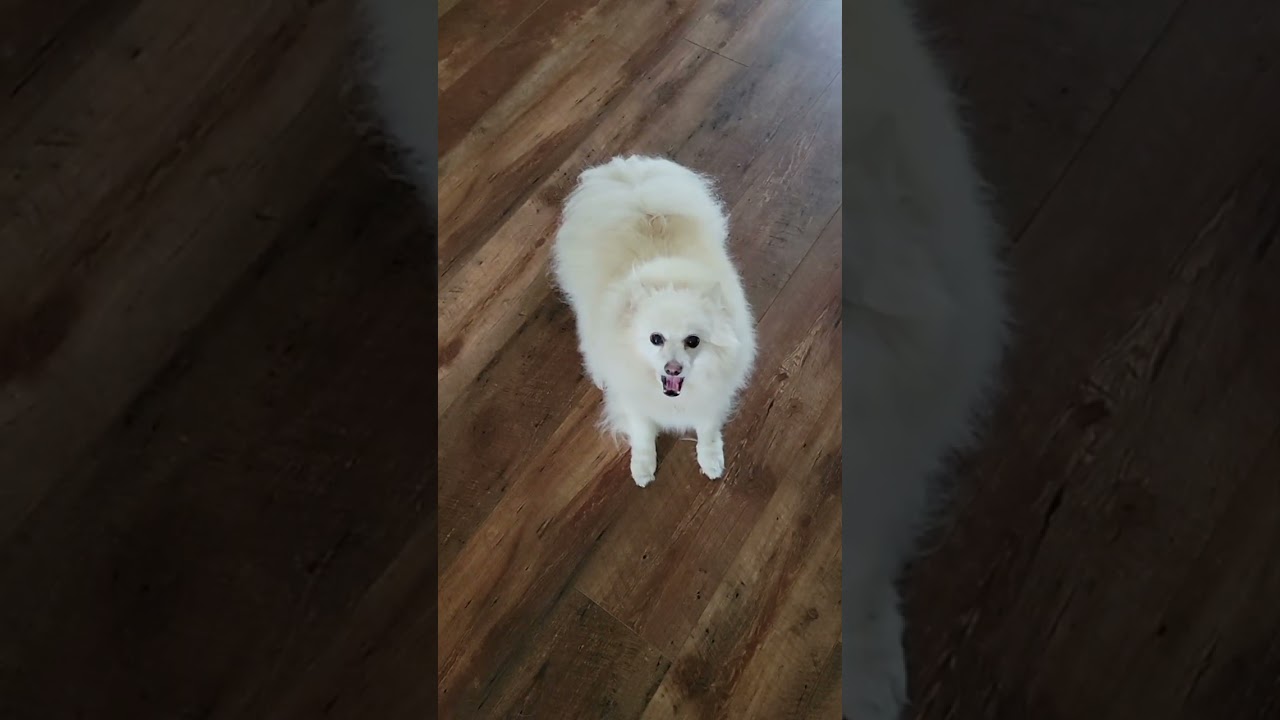 NONY SMILES