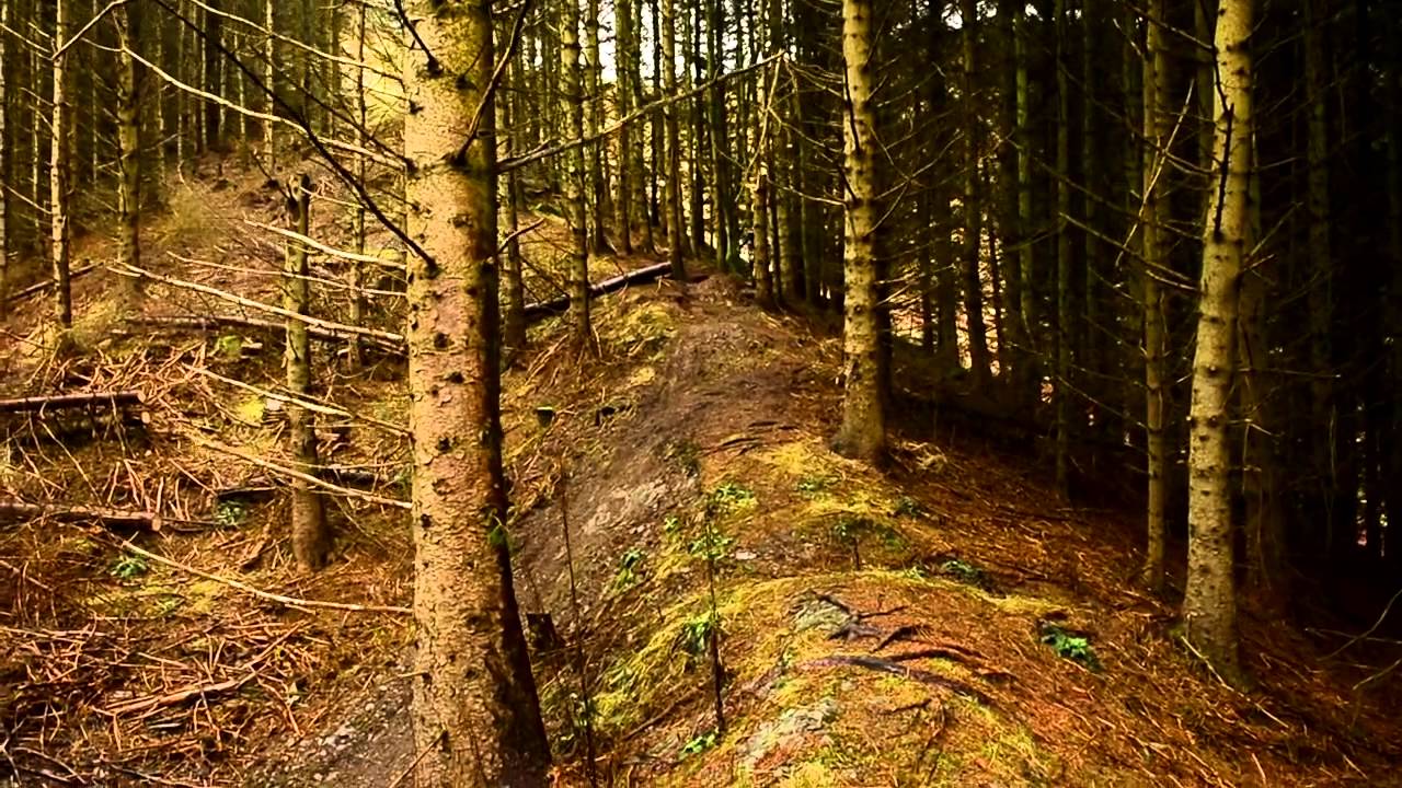 Hope Technology - Once Upon a Trail - Adam Brayton