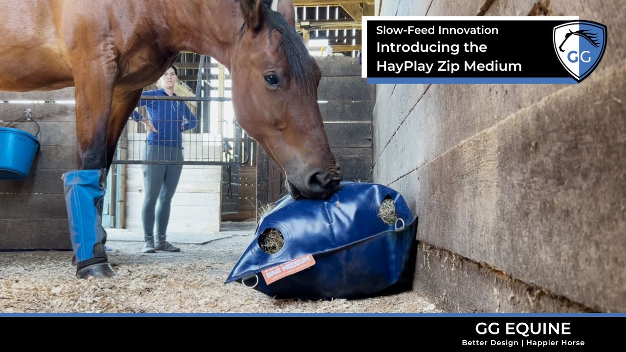 Introducing the HayPlay Zip Medium