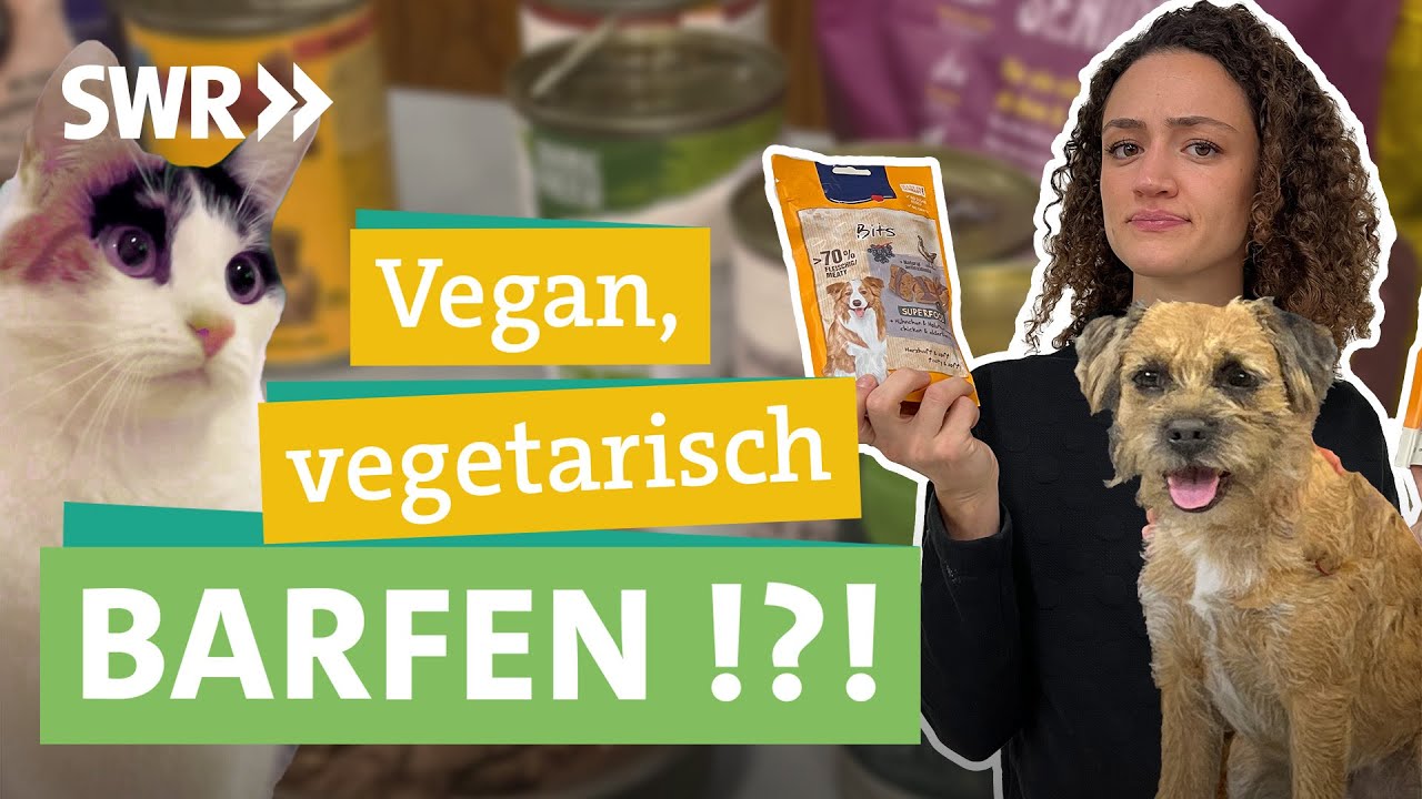Tierfutter - Wie ernähren wir Hund und Katze gesund und nachhaltig? I Ökochecker SWR