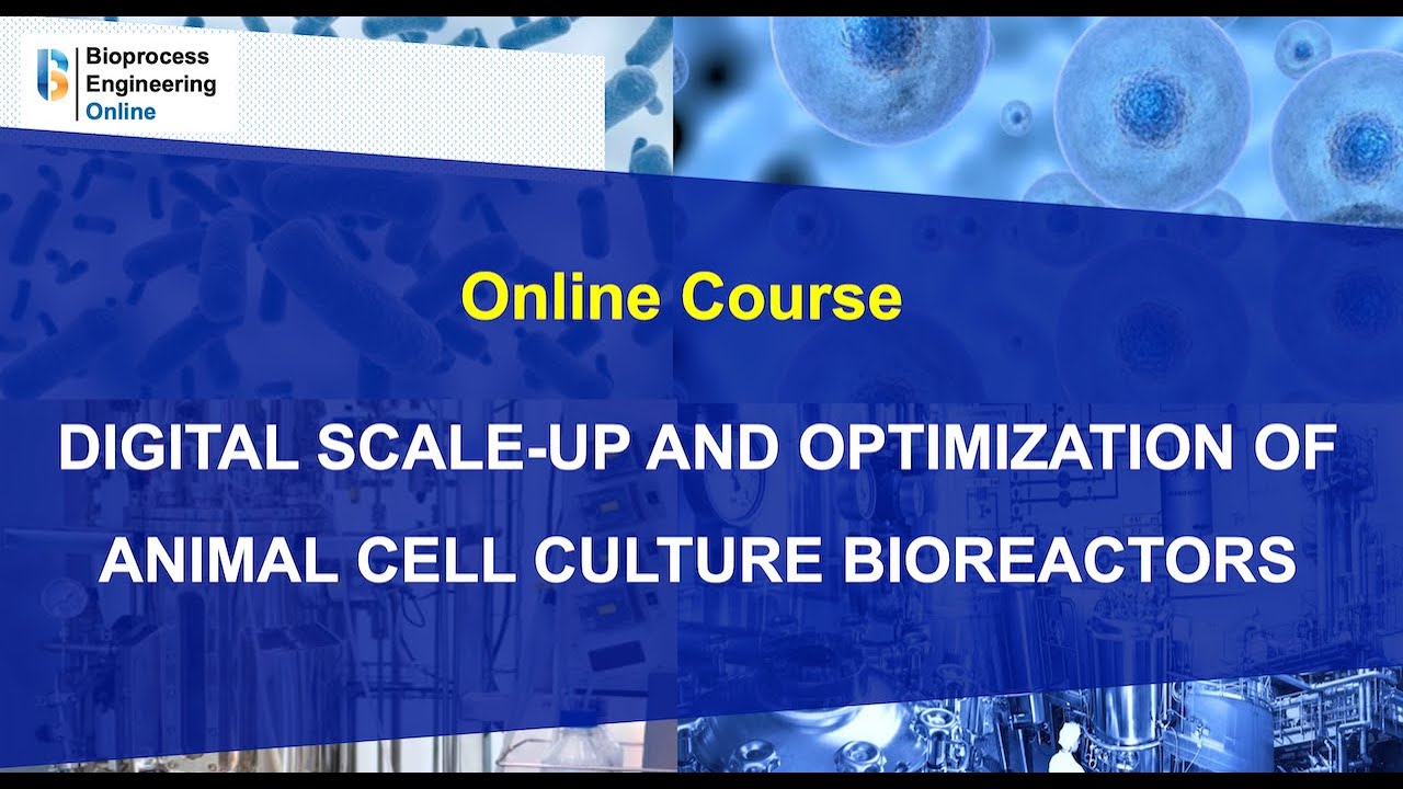 Online course Digital scale-up and optimization of animal cell culture bioreactors