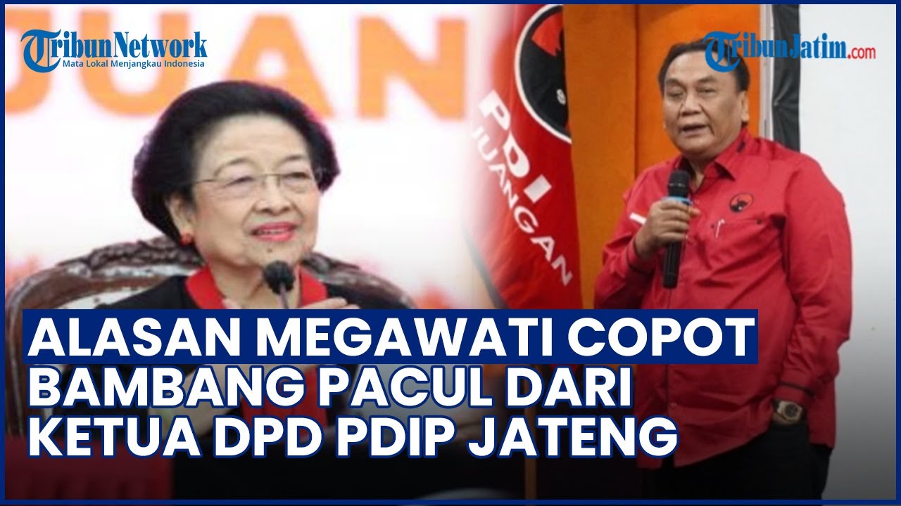 TERKUAK ALASAN MEGAWATI Mendadak Copot Bambang Pacul dari DPD PDIP Jateng, Ini Kasta Guntur Romli