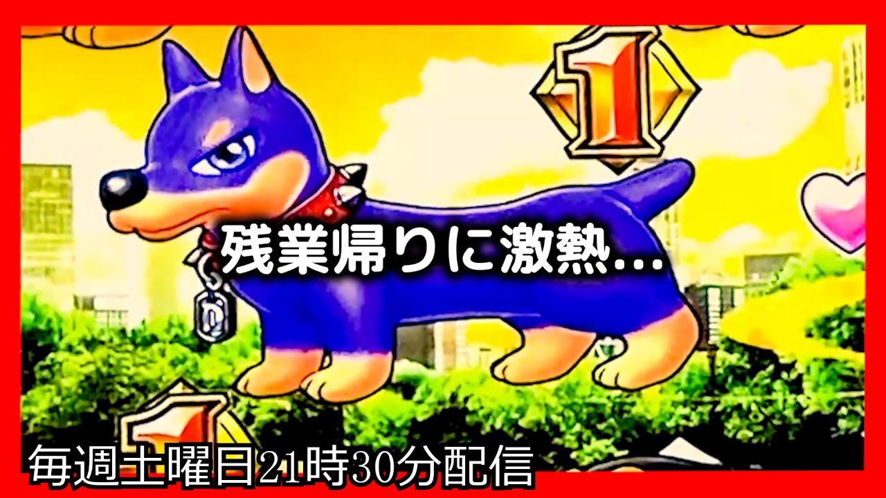 ラッキートリガーでお金を増やそうとしてみたら、とんでもない激熱がやってきました。【PAわんわんパラダイスCELEBRATION】【沖海5 パチンコ 海物語 ライブ ガチ践大海5!】#パーラーあげ実