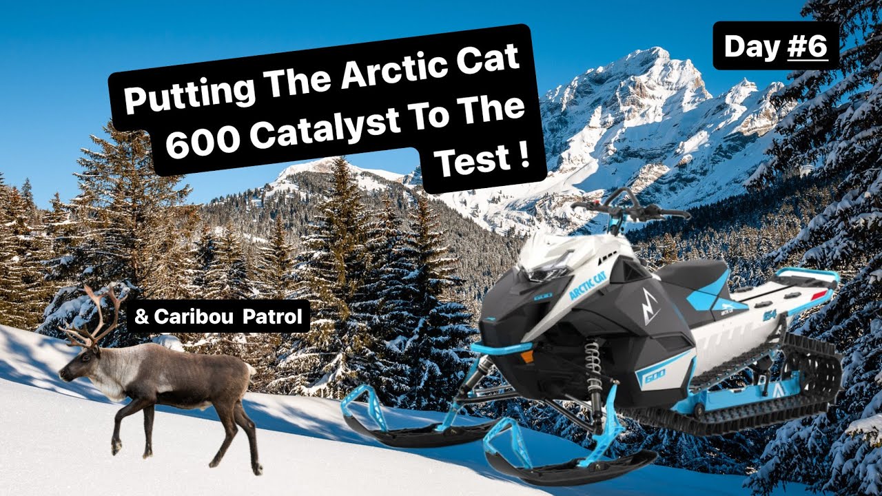 Испытываем катализатор Arctic Cat 600!