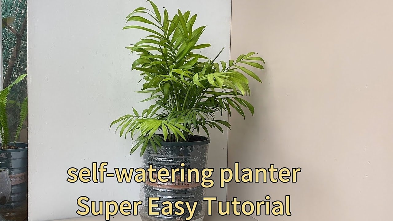 Make a Self-Watering Planter – No Skills Needed 