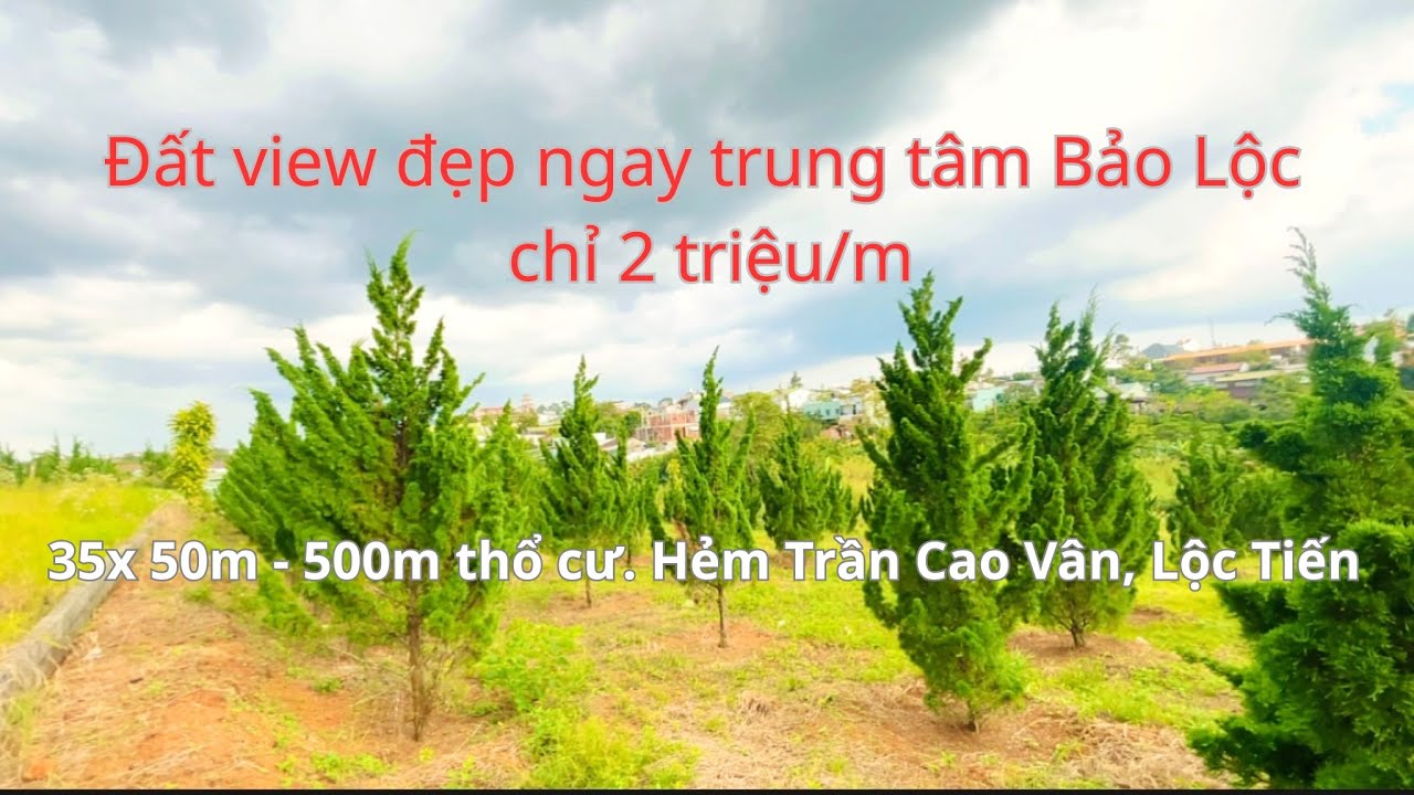 ( 202) 🎊 Ngay trung tâm thành phố mà có được lô đất này xây biệt thự | Cù Hương- BẢO LỘC LAND