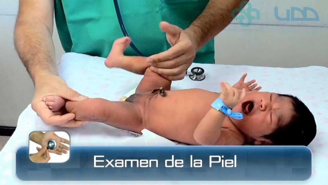 🌟INSPECCI&Oacute;N DE LA PIEL DEL RECI&Eacute;N NACIDO🌟