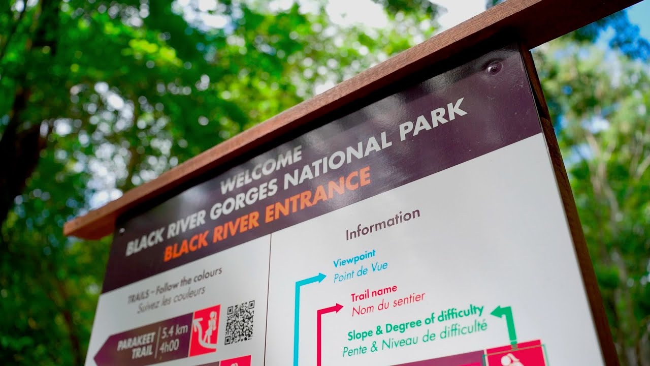 Black River Gorges National Park | Mauritius