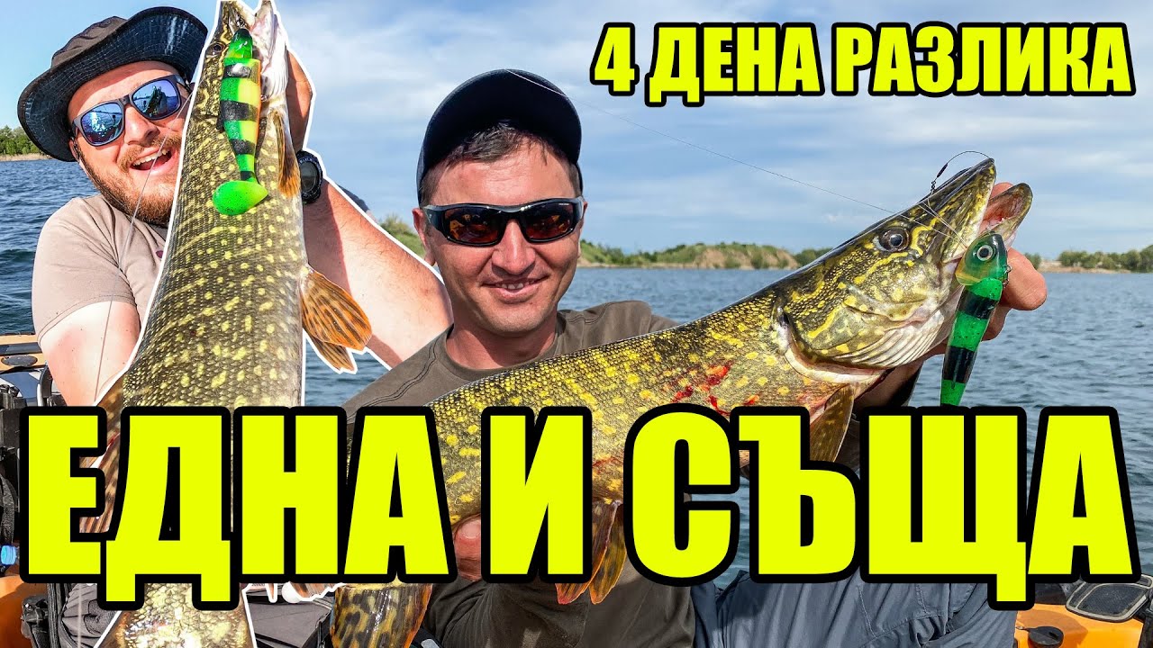 ХВАНАХМЕ ЕДНА И СЪЩА ЩУКА ПРЕЗ 4 ДЕНА. РИБОЛОВ НА ЩУКА. КАКВО Е FIIISH BLASTER SHAD