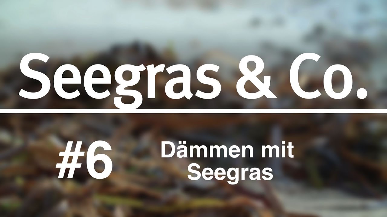 Seegras & Co. #6: Dämmen mit Seegras