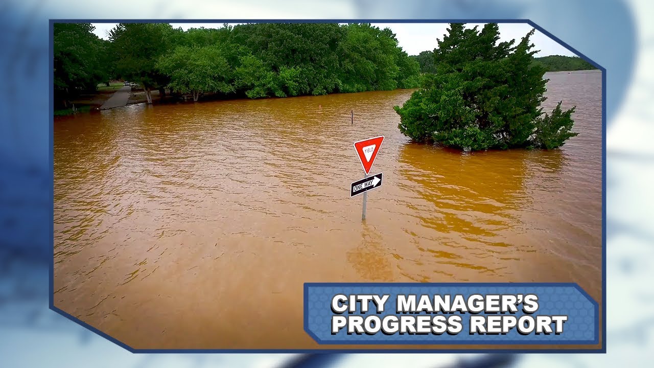 City Manager's Progress Report: May 2019