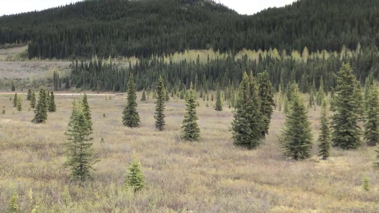 BCR's Dease Lake Line