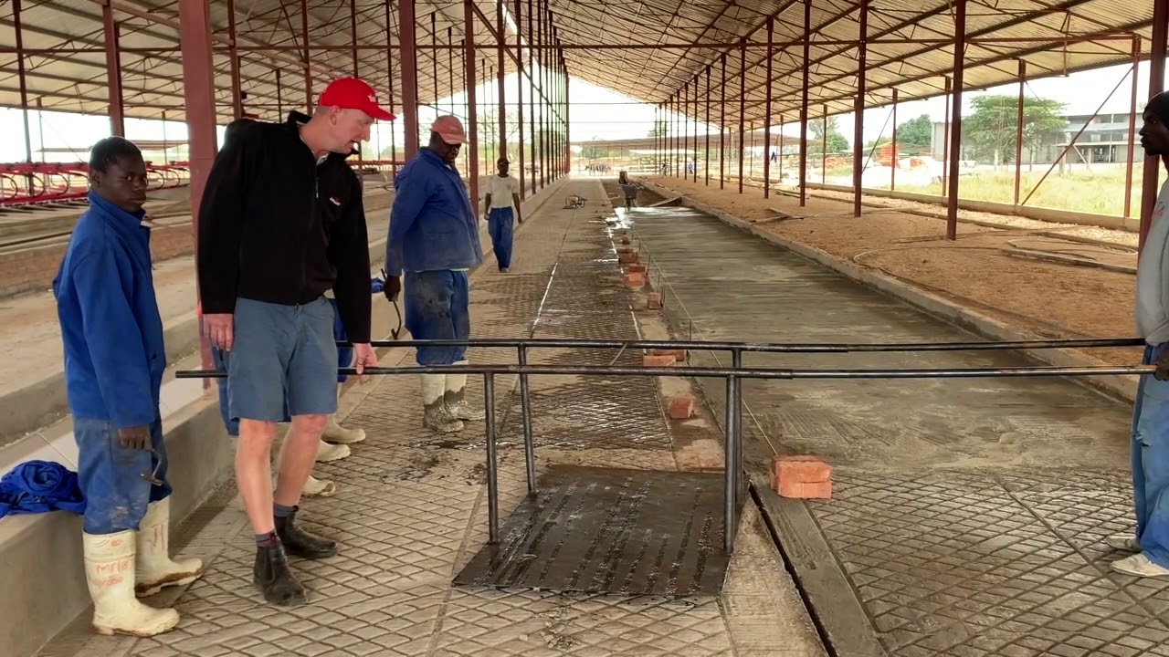 Part 3 of Building a Free Stall Barn