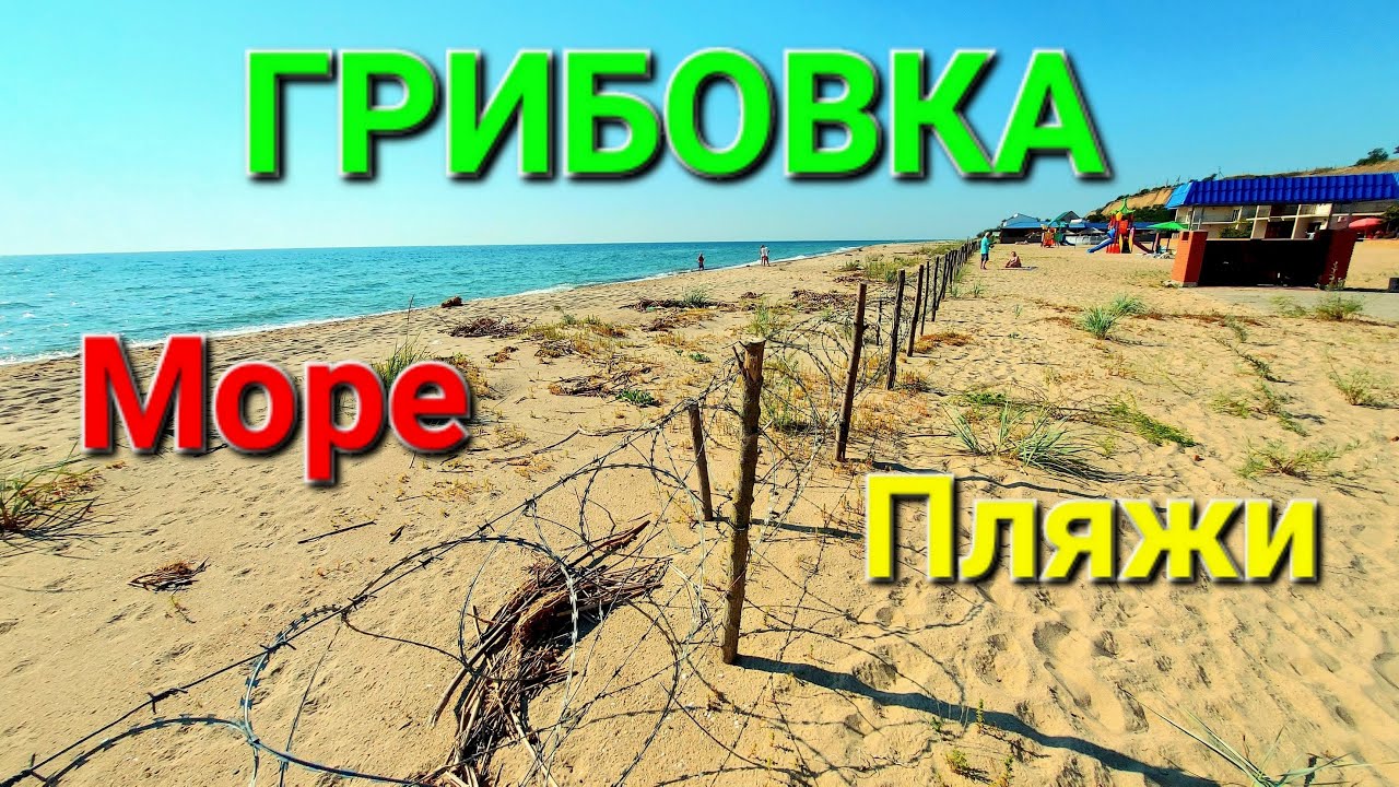 Грибовка пляжи. Одесская область. Лето 2023. Море. Туристы. Курорт. Леонидово. Санжейка. #зоотроп