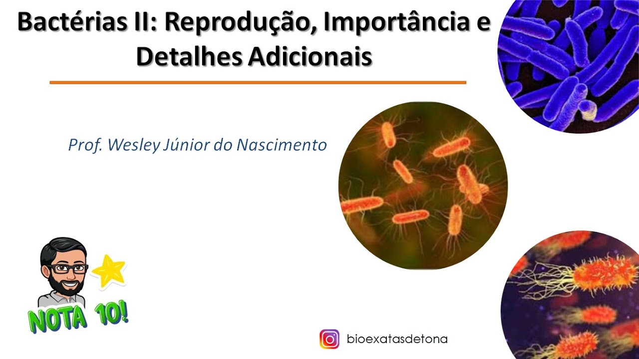 M&oacute;dulo Diversidade dos Seres Vivos -Aula 02 -Bact&eacute;rias II :Reprodu&ccedil;&atilde;o, Import&acirc;ncia e Detalhes