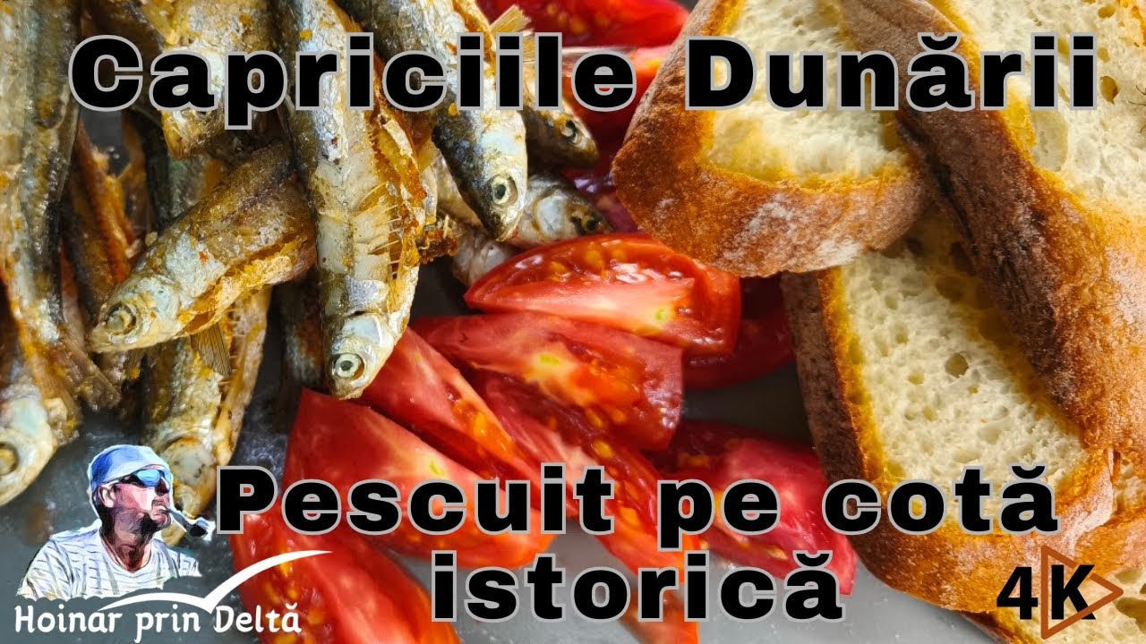 Capriciile Dunării. Pescuit pe cotă istorică
