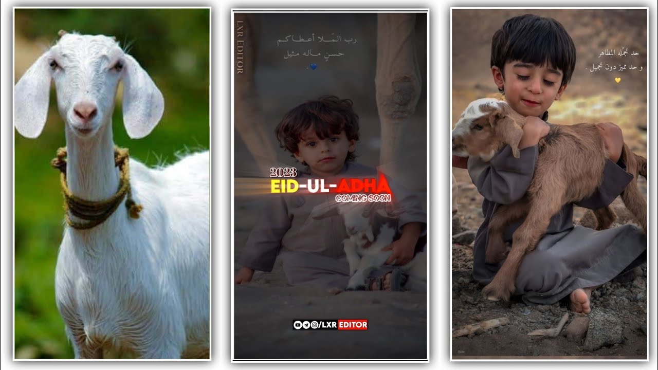 Bakra eid mubarak 2023 Coming soon Bakra eid status | Bakra eid 2023 | Bakra eid coming soon #viral