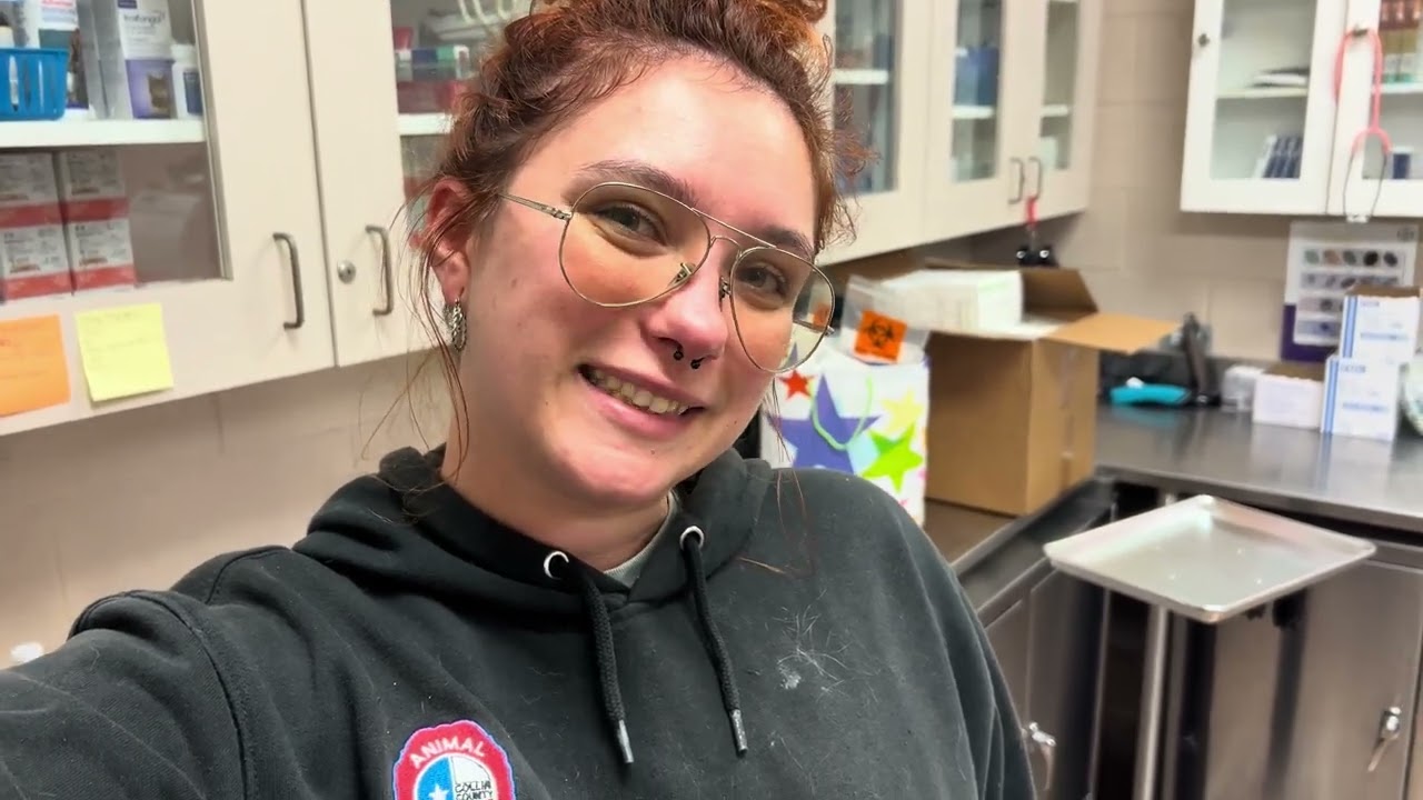 A day in the life of an ARF (Adoption, Rescue, Foster) Coordinator at a shelter : Vlog #1