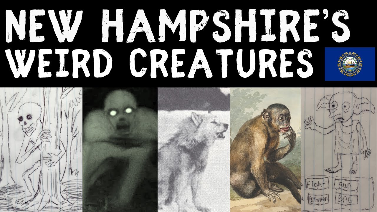 Exploring New Hampshire's Weird Creatures: Myths and Legends of the United States