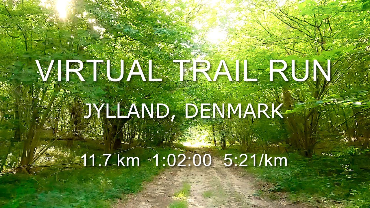 Virtual trail run Jylland, Denmark - Beautiful countryside - Bright sunshine! - Forest - Treadmill