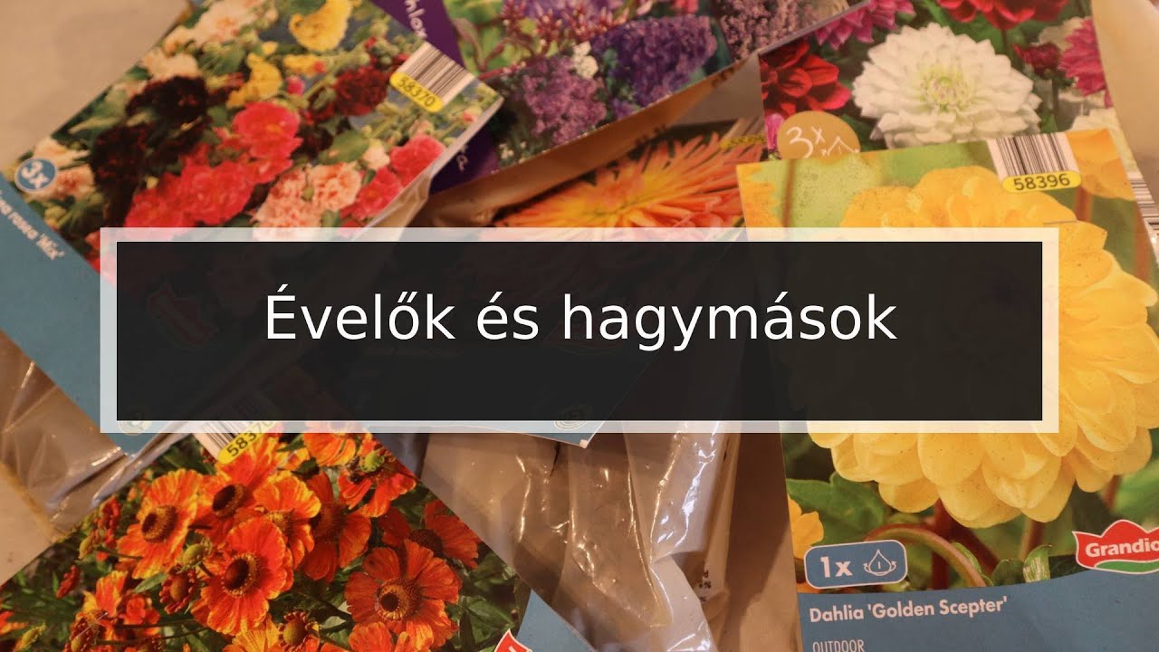 Ep. 309.: Hagymások és évelők az új évre