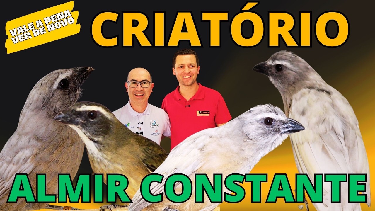 VOCÊ GOSTA de TRINCA FERRO? ESSE VÍDEO VAI te CONQUISTAR!!!