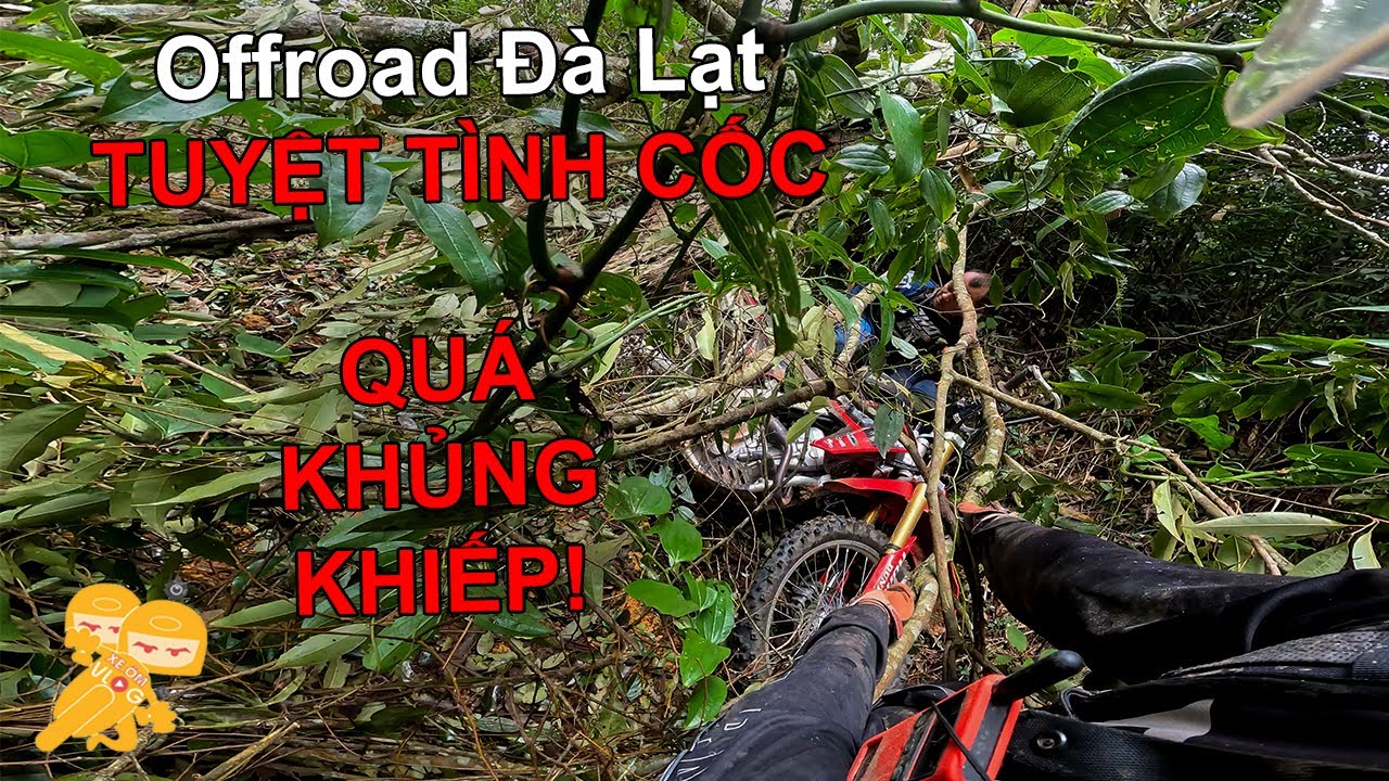 Offroad Đ&agrave; Lạt #3 - Offroad Đi Xuy&ecirc;n TUYỆT T&Igrave;NH CỐC Đ&Agrave; LẠT v&agrave; c&aacute;i kết - Xe &Ocirc;m Vlog
