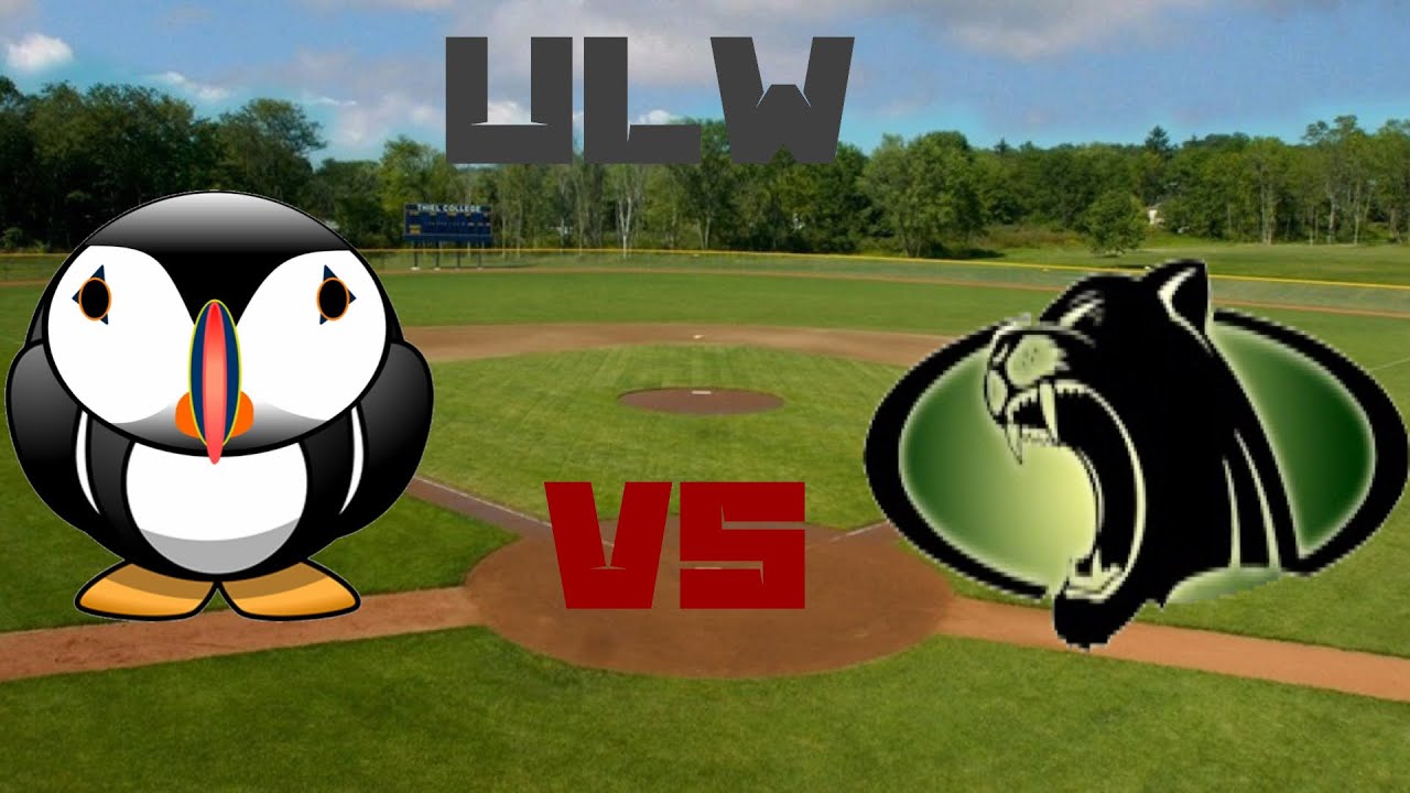 Puffins vs. Panthers | ULW Wiffle Ball 2020 | Our Best Game Ever!