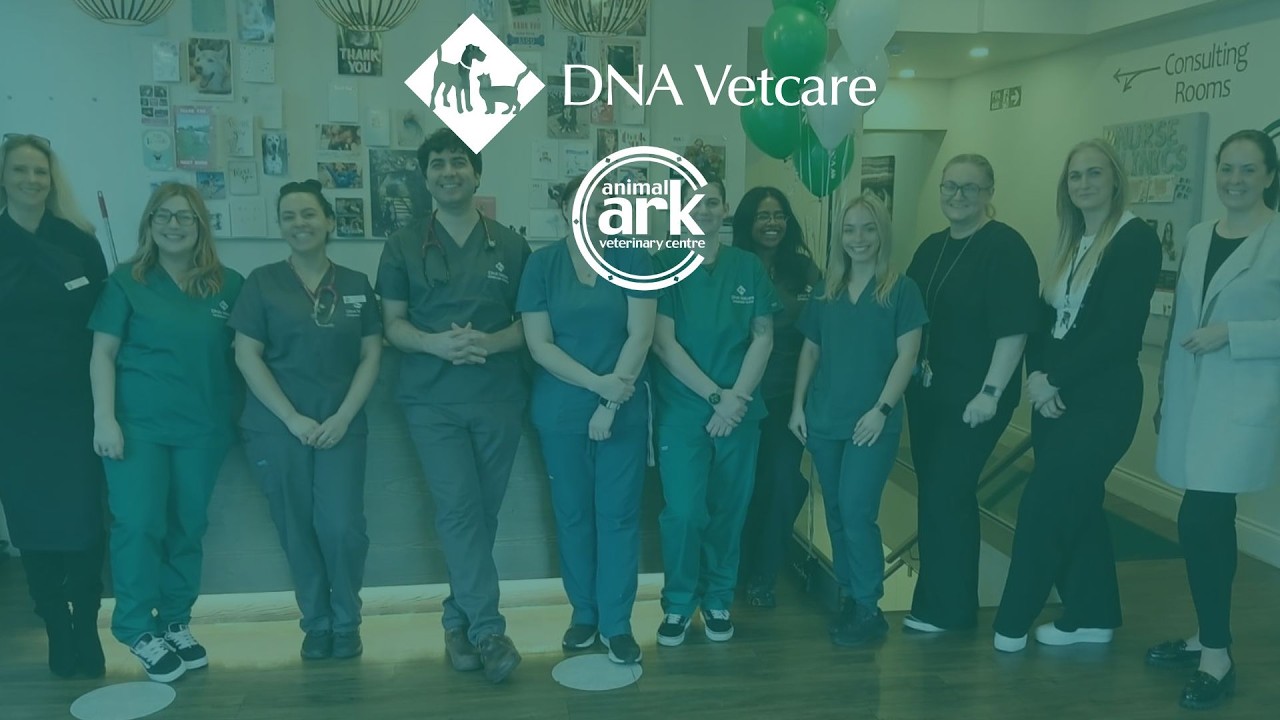 Animal Ark Joins DNA Vetcare - Take a tour of our new practice!