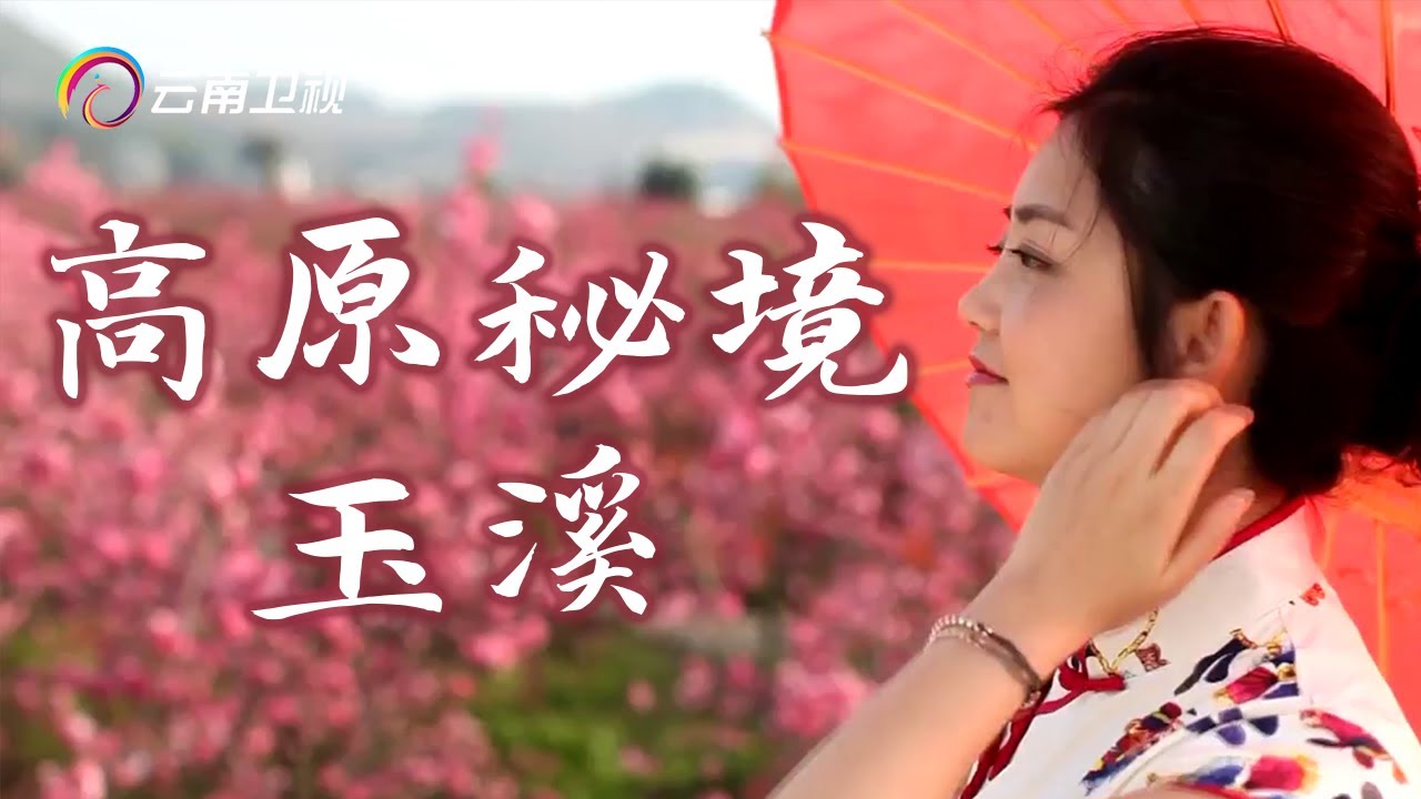 这是离云端最近的神仙小城！云南玉溪：一个少有的高原水乡城市，山清水秀又好玩【2022联合国中文日】