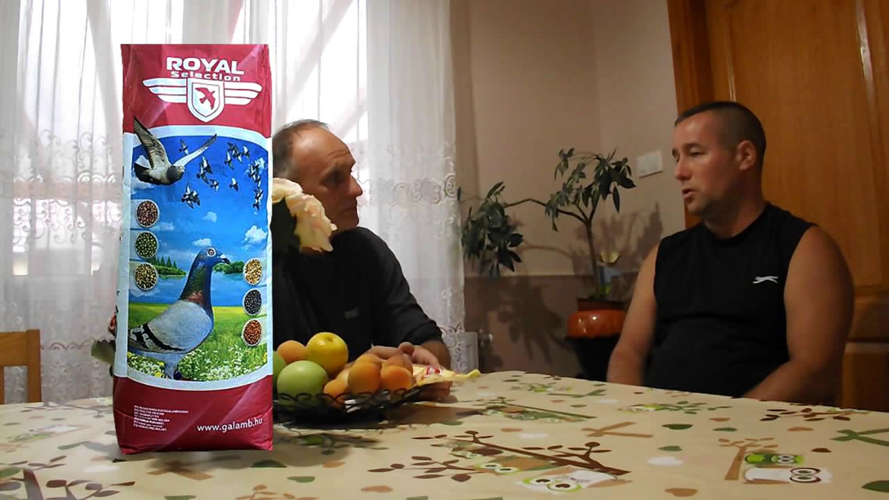 Nagy Varga Viktor - Jászberény