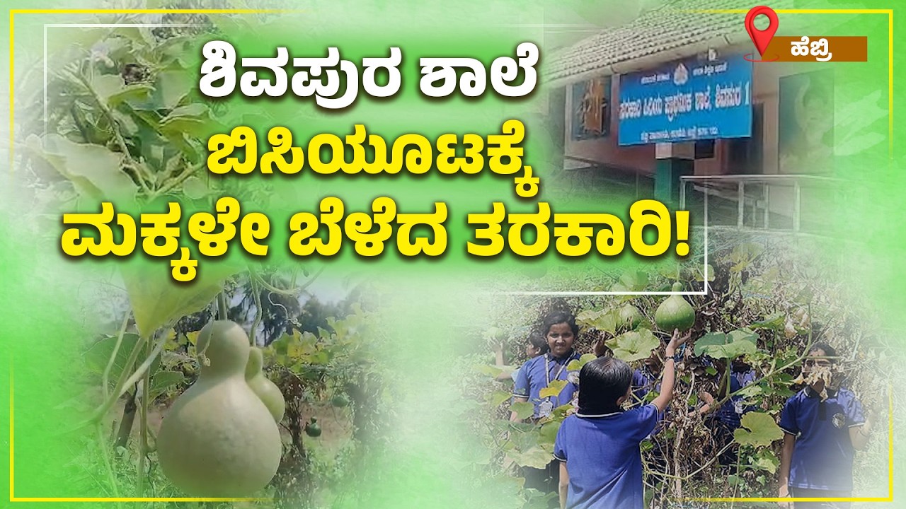 ಹೆಬ್ರಿ: ಬೆಳಗೆ-ಸಂಜೆ ಒಂದೊಂದು ಗಂಟೆ ತೋಟದ ಕೆಲಸ | 1 Hour Garden Work Morning & Evening | Udayavani