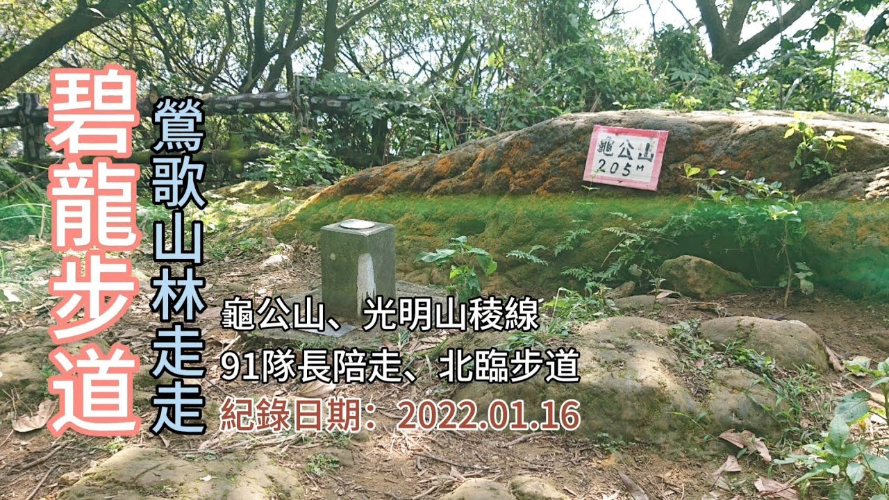 「碧龍步道」,鶯歌山林走走，91隊長陪走，北臨步道經光明山稜線到牛灶坑山、龜公山、碧龍宮-FP285