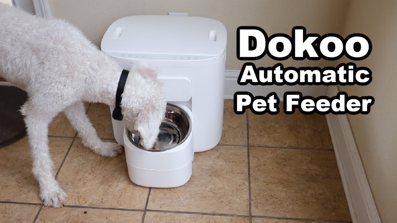 Автоматическая кормушка Dokoo для крупных собак! Кормление без помощи рук в течение 15 дней!