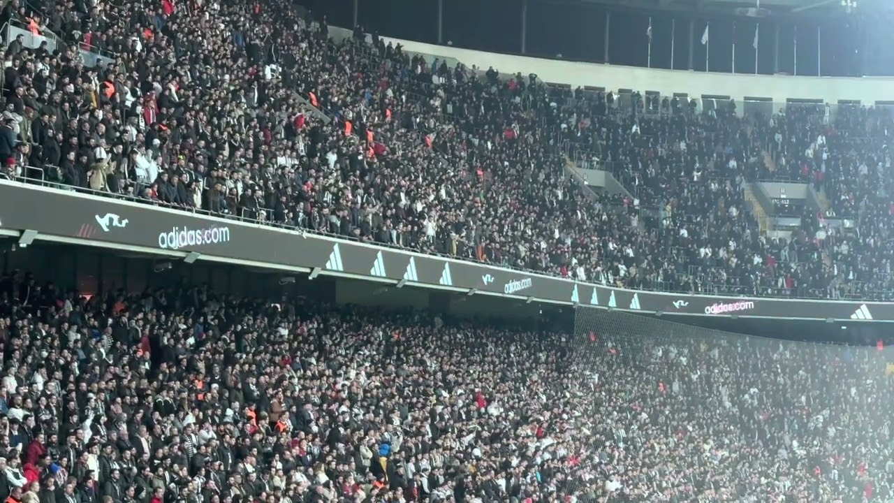 DALE CAVASE | EFSANE TRİBÜN | Beşiktaş - Alanyaspor Tribün