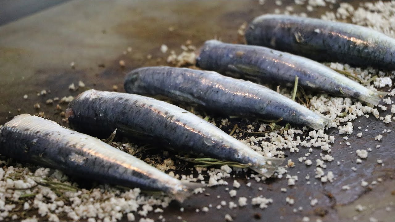 Sardines au gros sel de Guérande